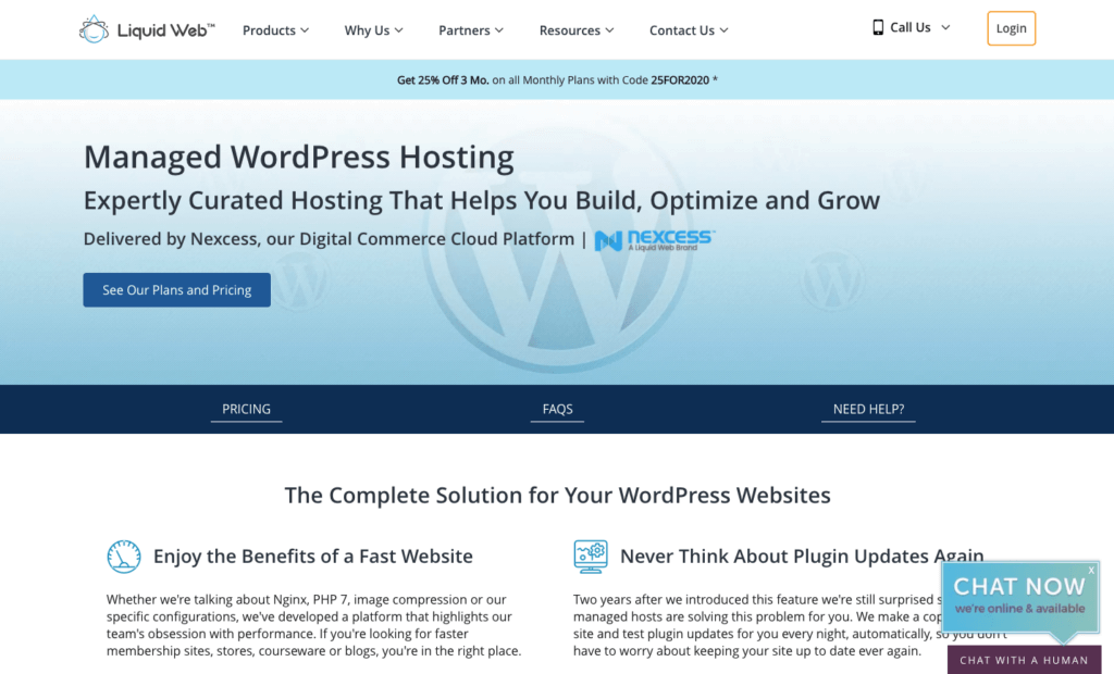 WordPress gestito dal web liquido