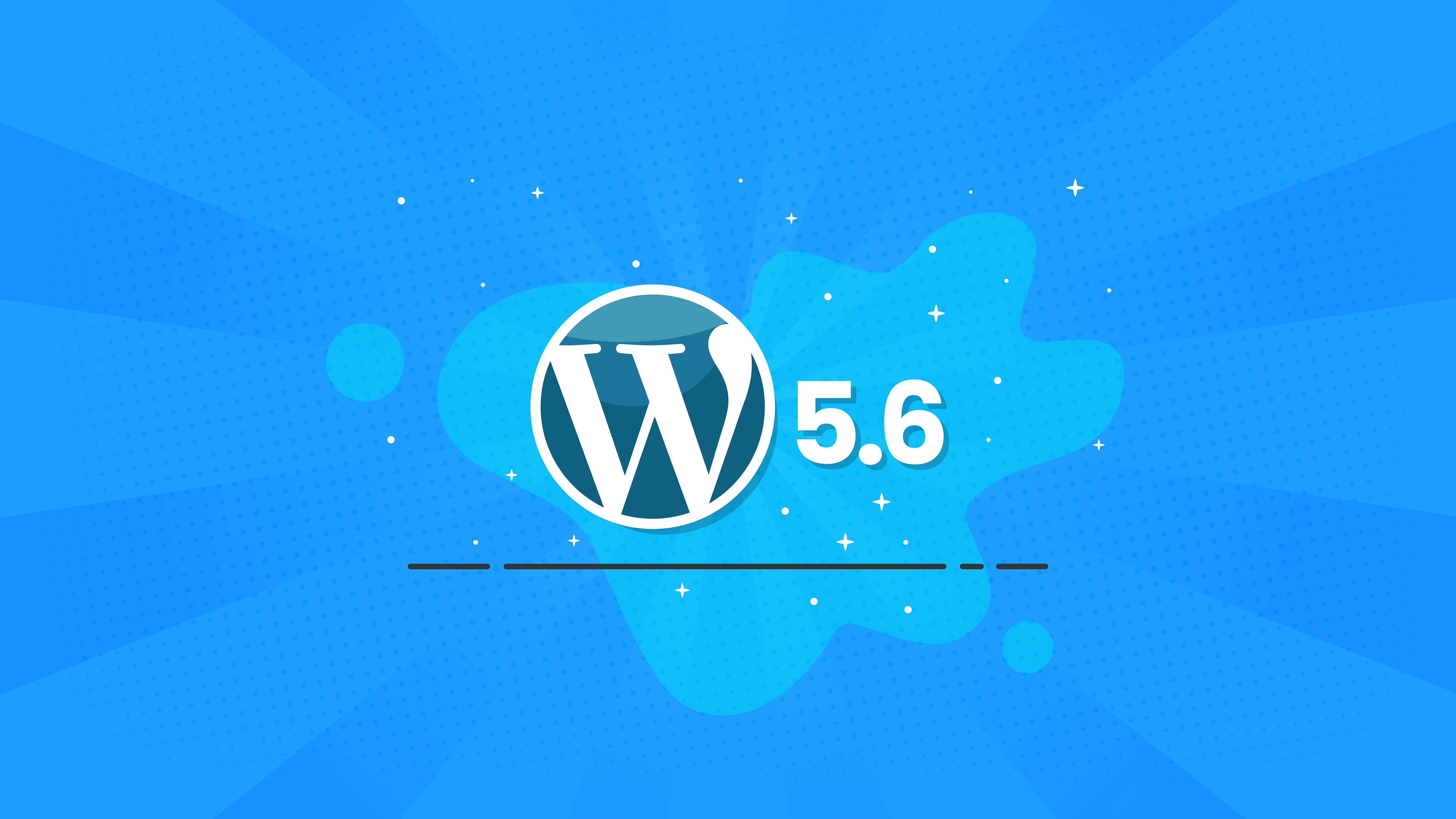 wordpress 5.6