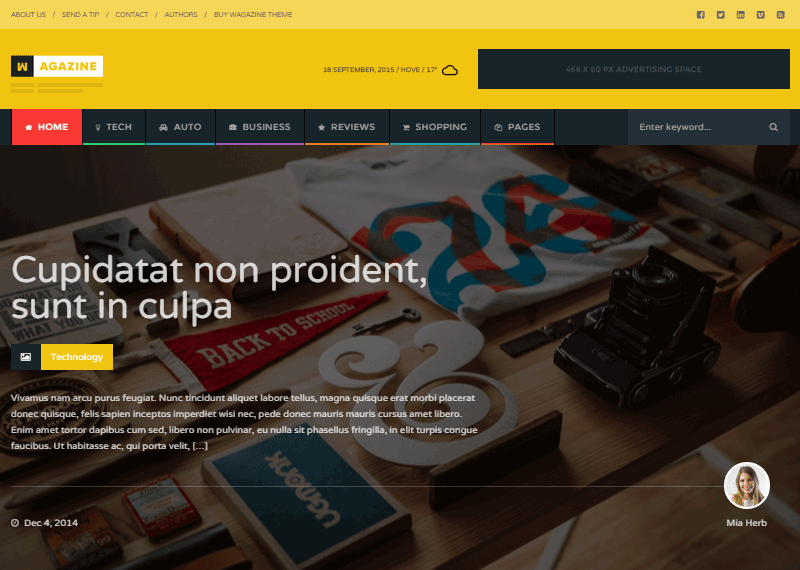 ワガジンレビューホームページv1