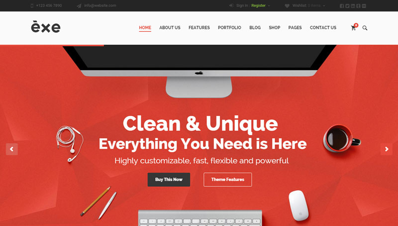 Pagina principală de revizuire a temei EXE