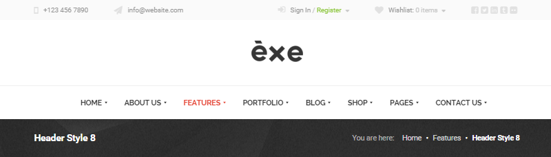 Antet de revizuire a temei EXE