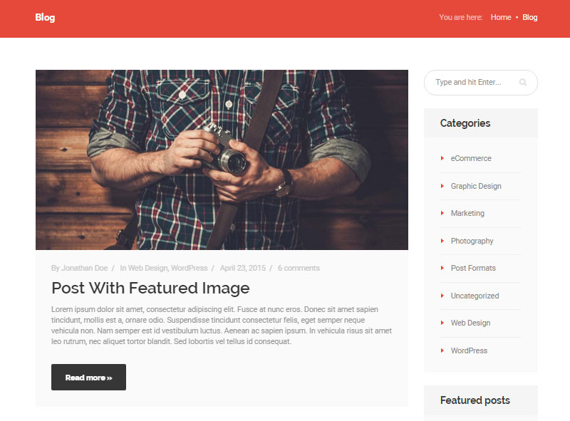 Aspectul blogului de examinare a temei EXE