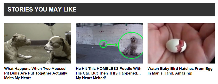 viralpro ذات الصلة المشاركات