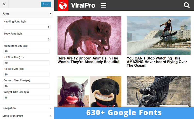 viralpro- التخصيص