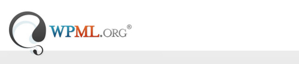 Transcargo İnceleme WPML