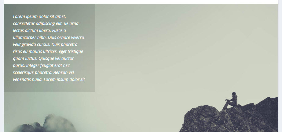 Aspect extra al paginii de revizuire a temei WordPress