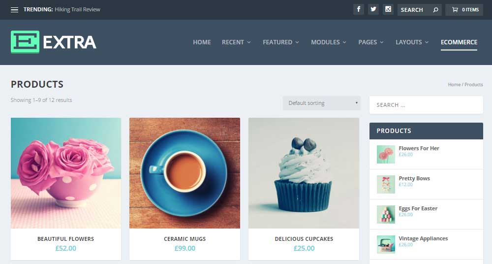 Revizuire suplimentară a temei WordPress Comerț electronic