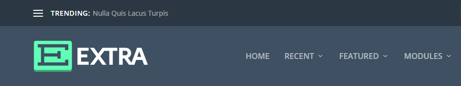Antet suplimentar pentru revizuirea temei WordPress