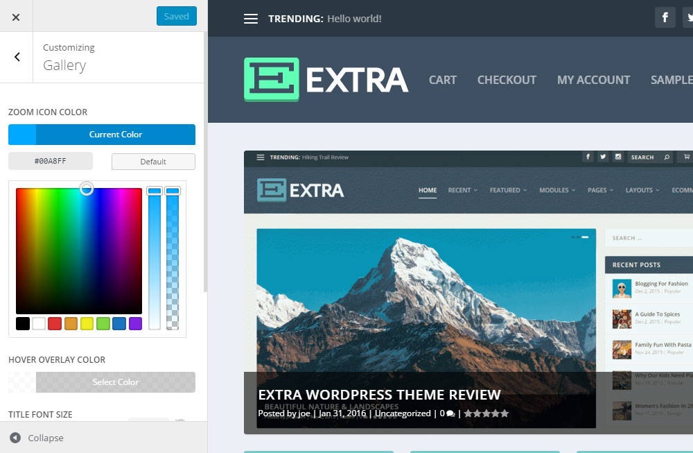 Module suplimentare de revizuire a temei WordPress