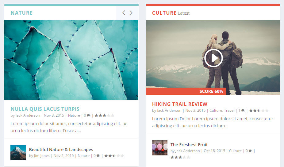 Recenzii suplimentare pentru revizuirea temei WordPress