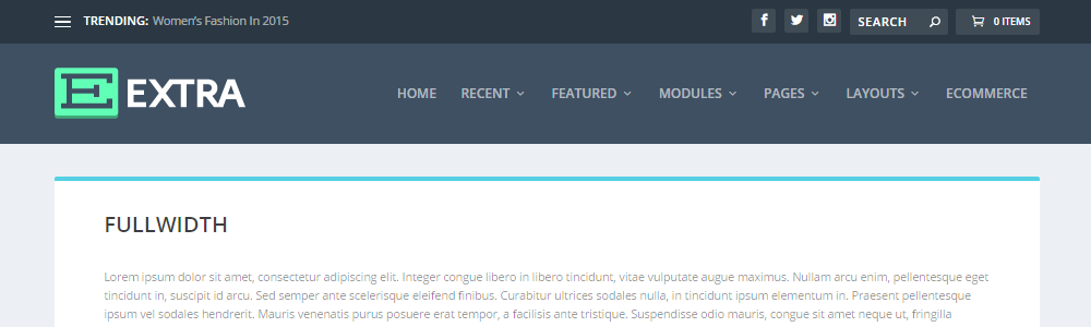 Examinare temă WordPress suplimentară Lățime completă