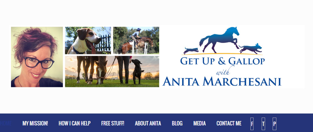 Brixton WordPress Tema İncelemesi Kalk