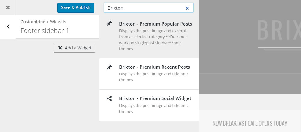 Brixton WordPress Tema İnceleme Widget'ları