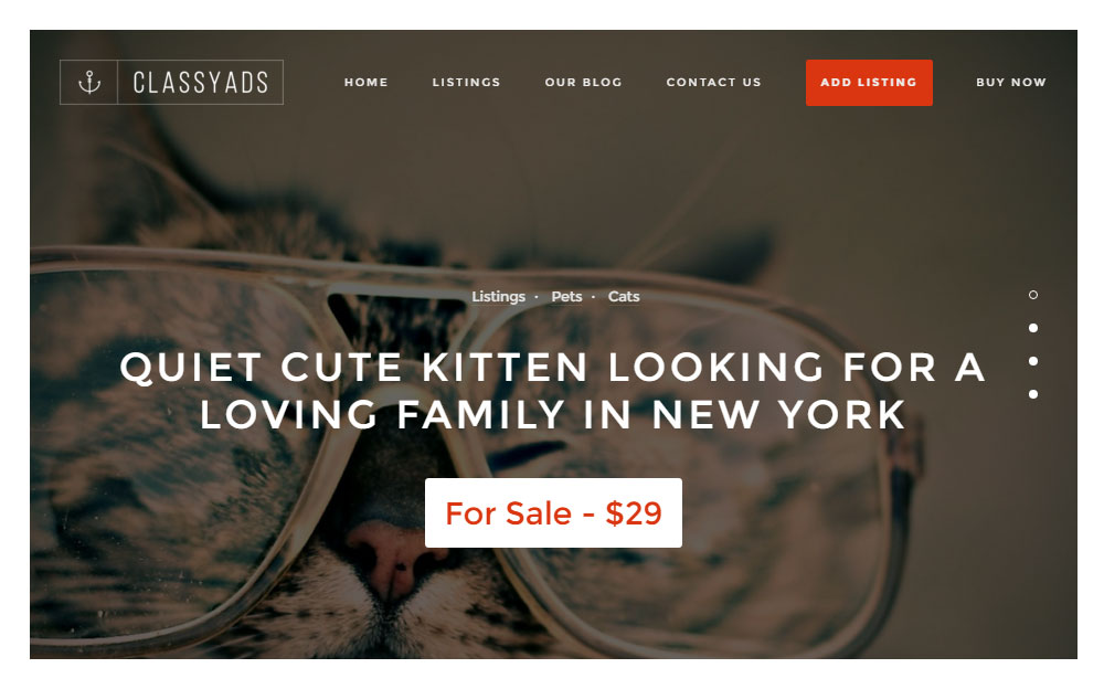 ClassyAds WordPress Theme Review Listing Beispiel