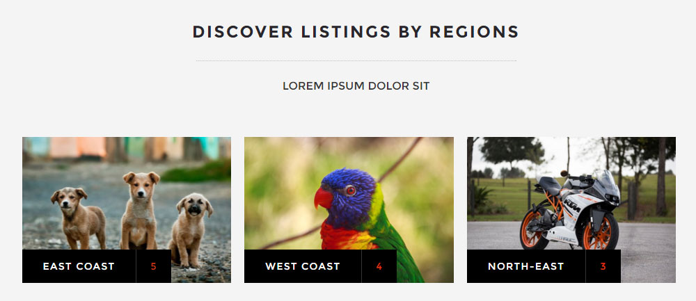 ClassyAds WordPress Theme Review Shortcodes