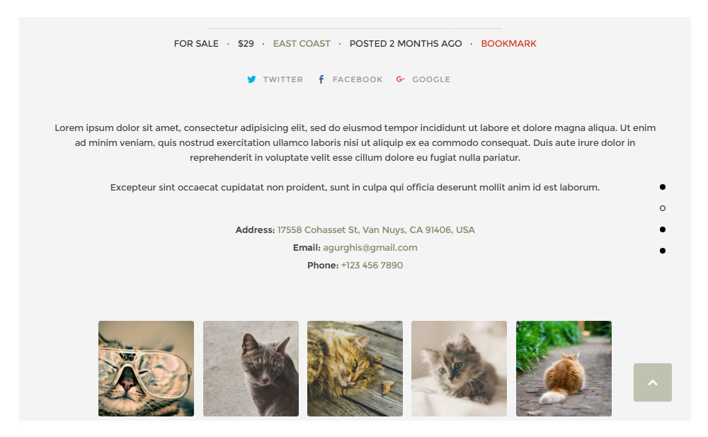 ClassyAds WordPress Theme Review Design