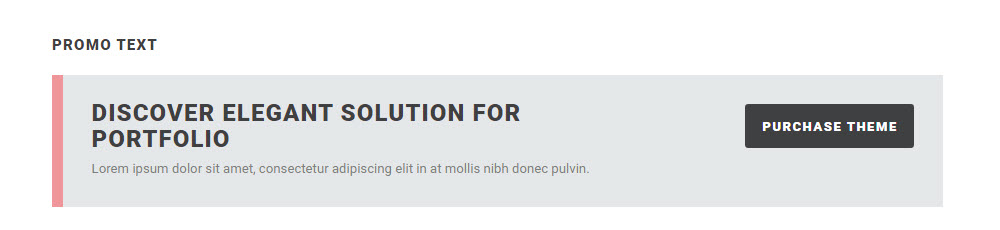 SOHO WordPress Theme Review Promo-Text