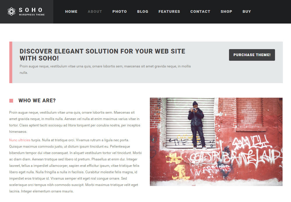 SOHO WordPress Theme Review Über die Seite