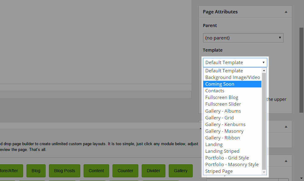 SOHO WordPress Theme Review-Seitenvorlagen