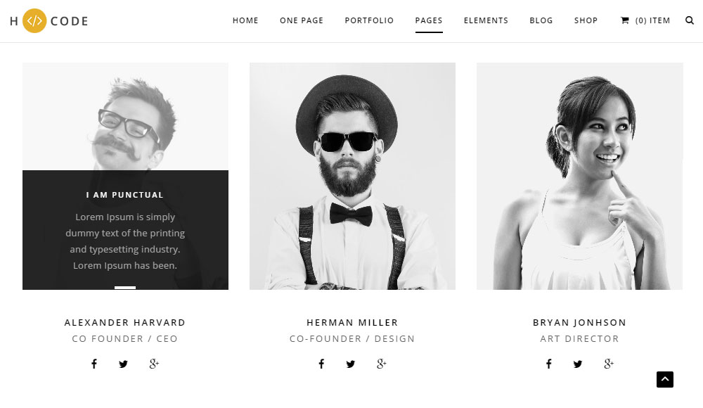 Page de l'équipe de révision du thème H-Code