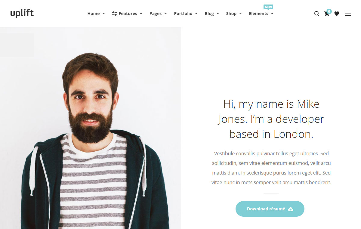 Modèle de page de révision de thème WordPress Uplift