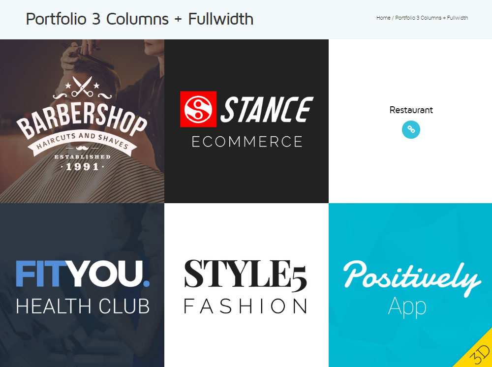 Ihr Theme Review Portfolio in voller Breite