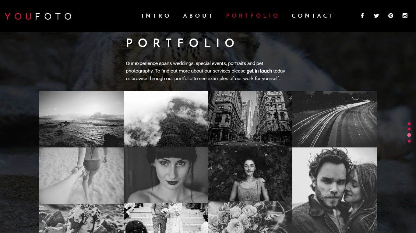 Ihr Theme Review Demo-Portfolio