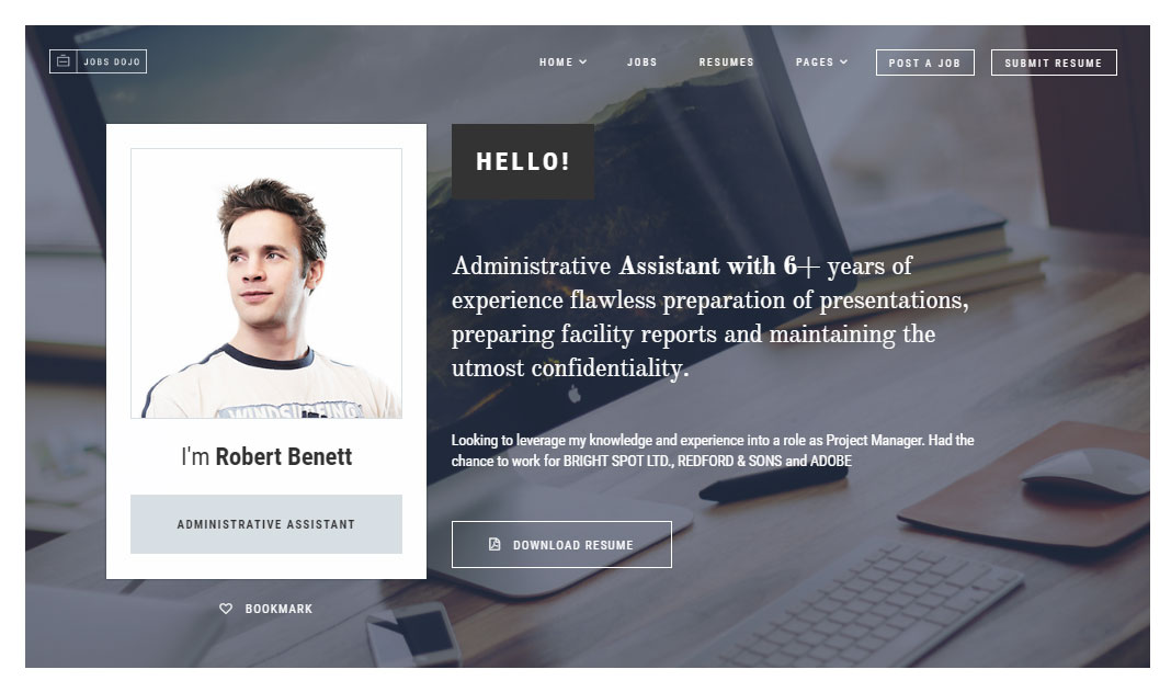 工作 Dojo 主题审查简历