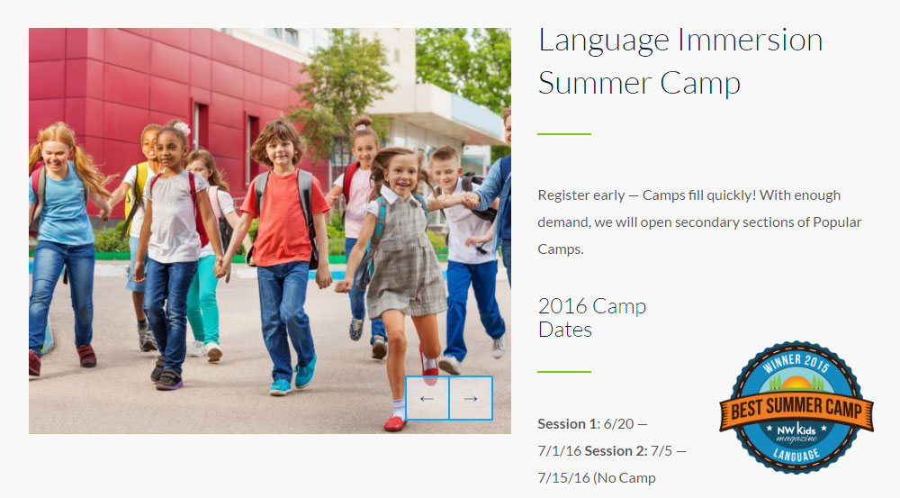Тематические обзорные лагеря Smarty