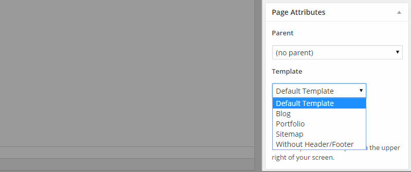 Modelli di pagina AMAX