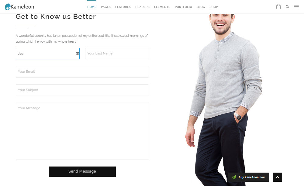 Formulaire de contact Kameleon