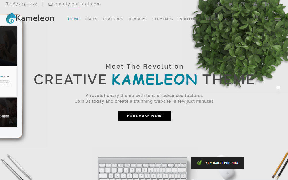 Démo Thème Kameleon 02