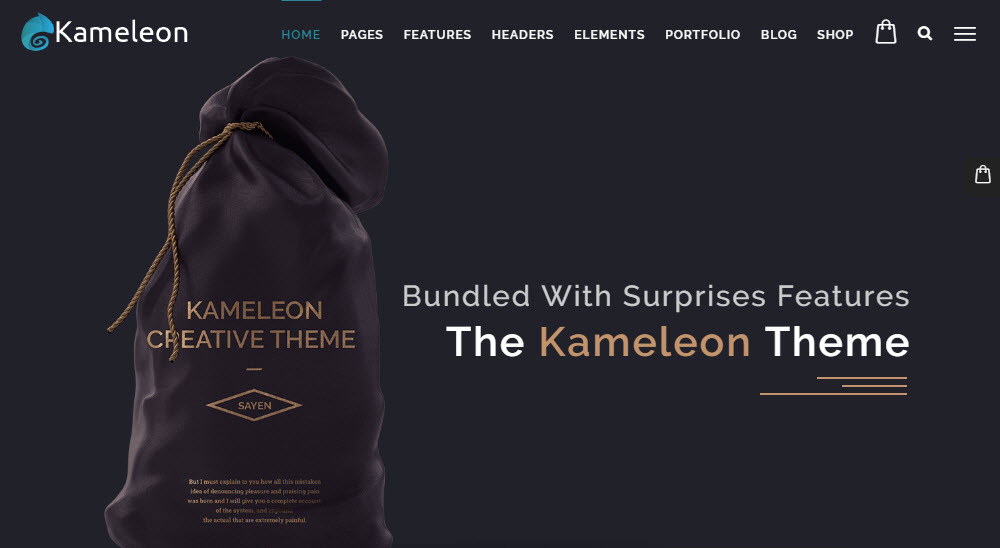 Conception de portefeuille Kameleon