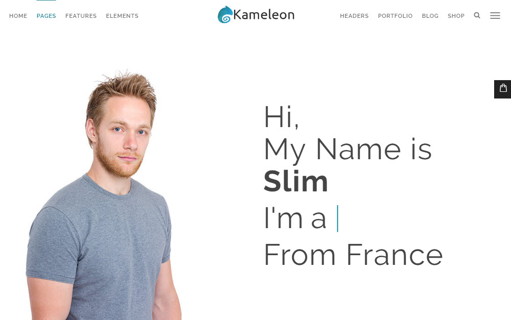 Démo Thème Kameleon 04