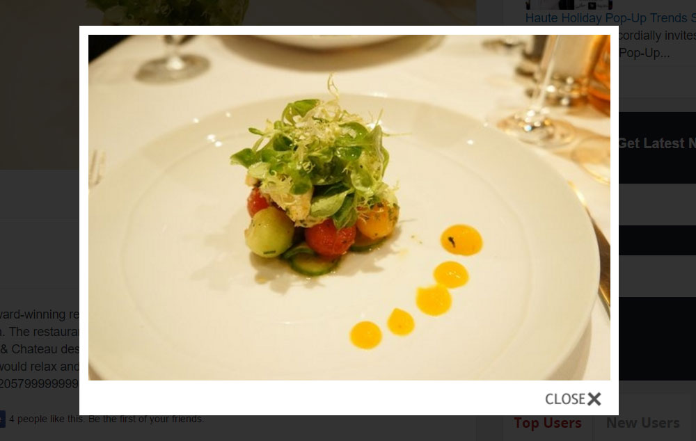 Galerie de photos de la foule Vox