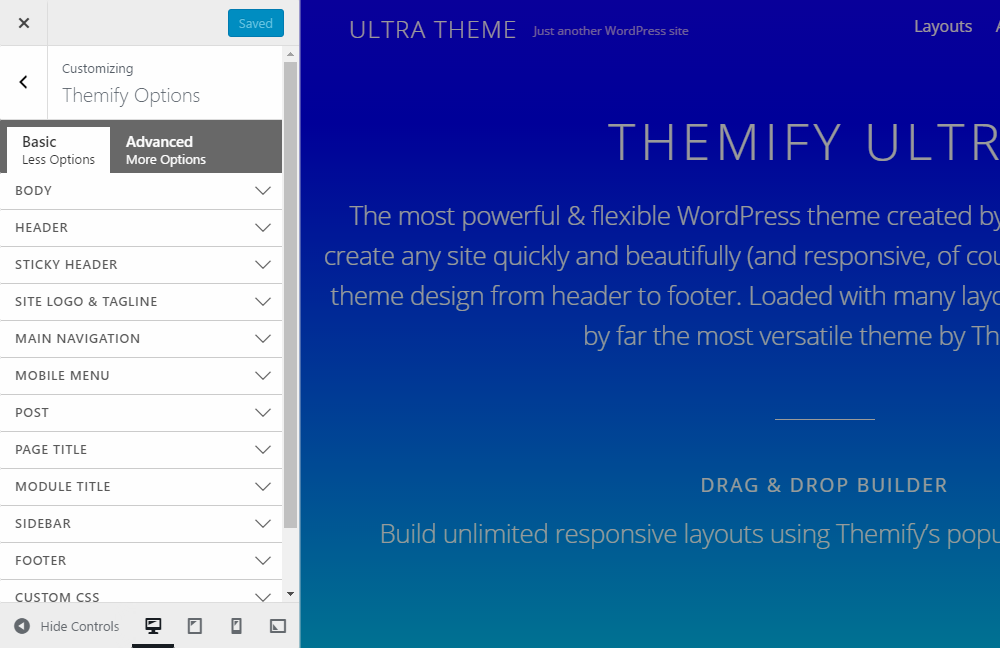 Personnalisateur de revue de thème Ultra WordPress