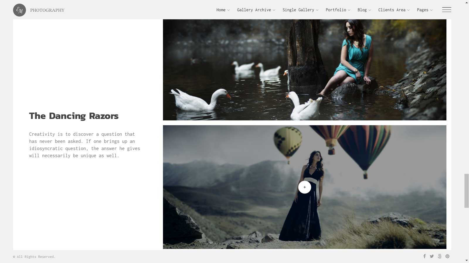 Article unique de la galerie