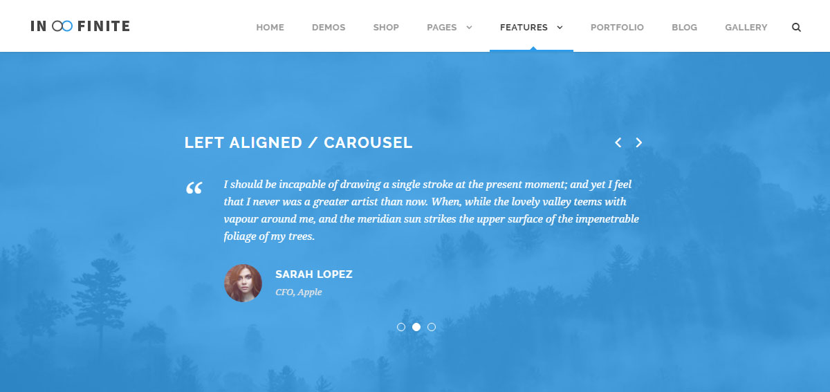 Отзывы о бесконечном обзоре темы