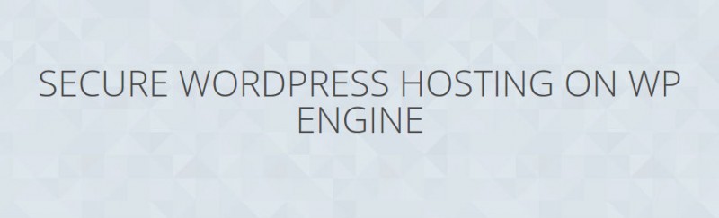 WP Engine Review-Sicherheit