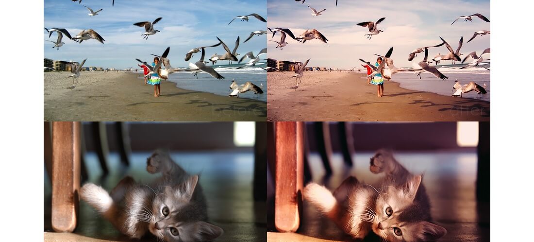 photoshop 深红色微光动作