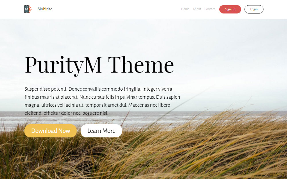 Mobirise Review 主題升級