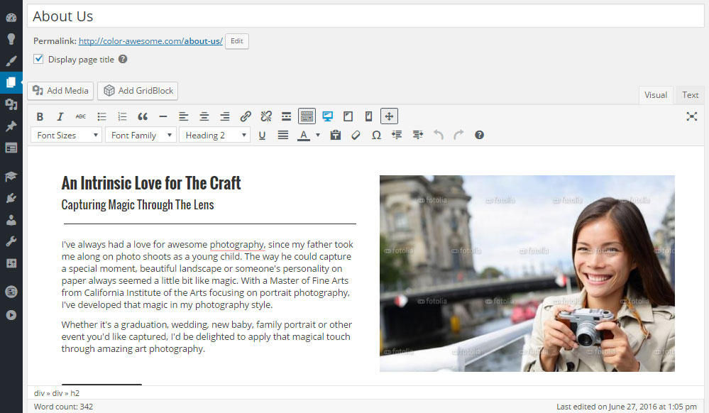 محرر مراجعة BoldGrid حول