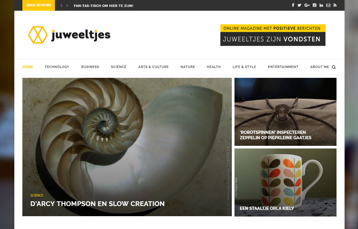 Recenzja motywu Soledad Juewee