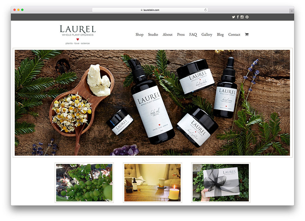 laurelskin-organic-food-website-using-total-theme