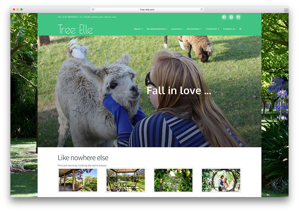 tree-elle-booking-website-example-with-x-theme