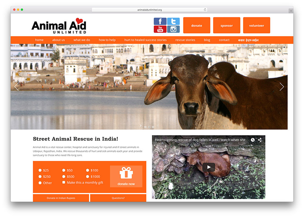 animalaidunlimited-non-profit-site-z-motywem-Jowisza