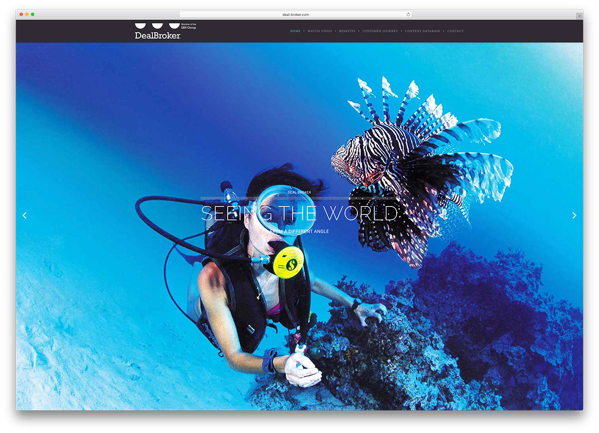 deal-broker-travels-site-brooklyn-example