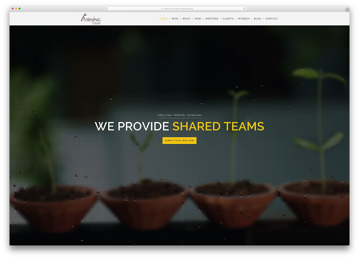 website-uri-creative-creative-cu-wordpress