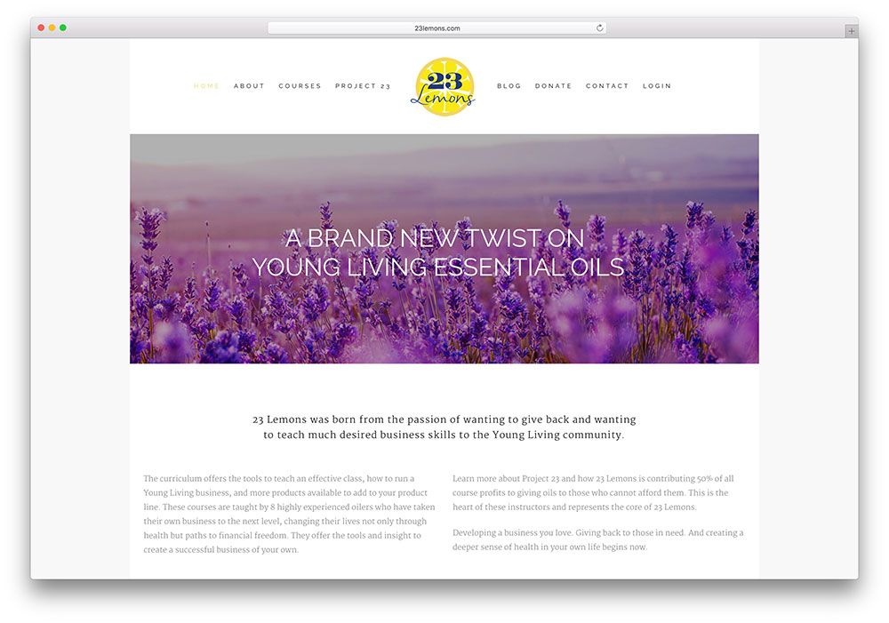 23przykład-mostu-cytryny-małej-firmy