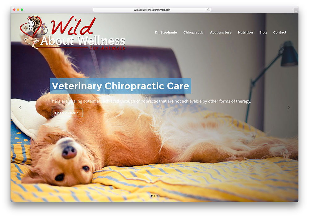 wildaboutwellnessdlazwierzat-przyklad-mostu-przyklad